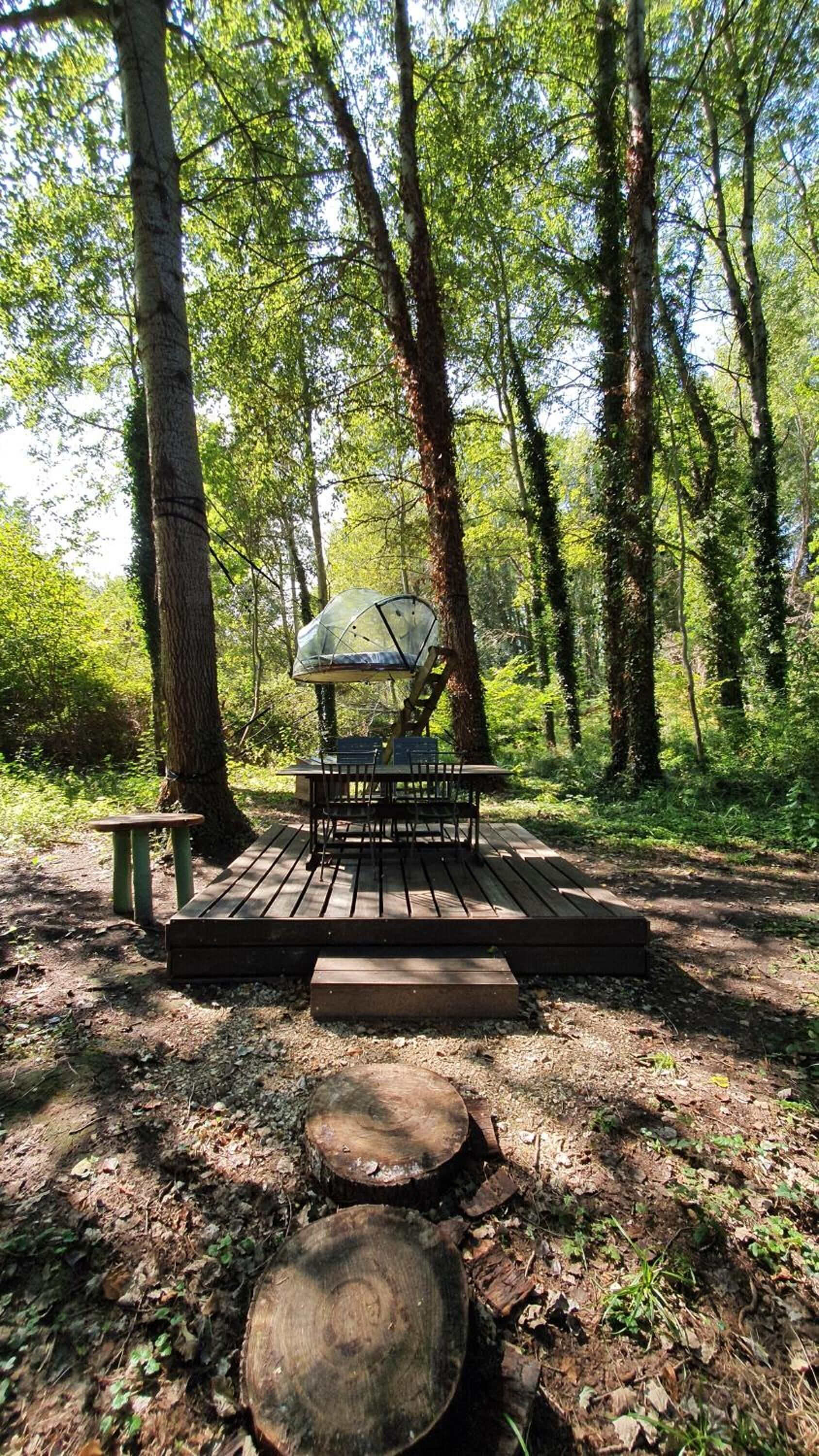 A picnic table with a canopy in a forest.
