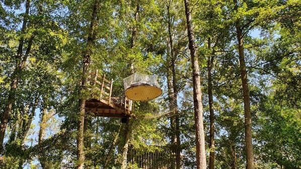 Una casa del árbol con plataforma de madera y techo de mosquitera, rodeada de árboles altos.