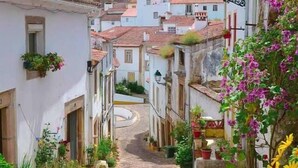 A narrow cobblestone street flanked by buildings with white facades and terracotta roofs. - Dom Dinis Marvão (Marvao)