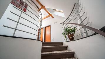 A spiral staircase with a modern design, a potted plant, and a skylight.