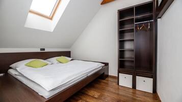 A bedroom with a bed, a skylight, and a built-in wardrobe.