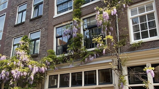 A brick building with multiple windows and a storefront. - Amsterdam B&B Barangay (Amsterdam)