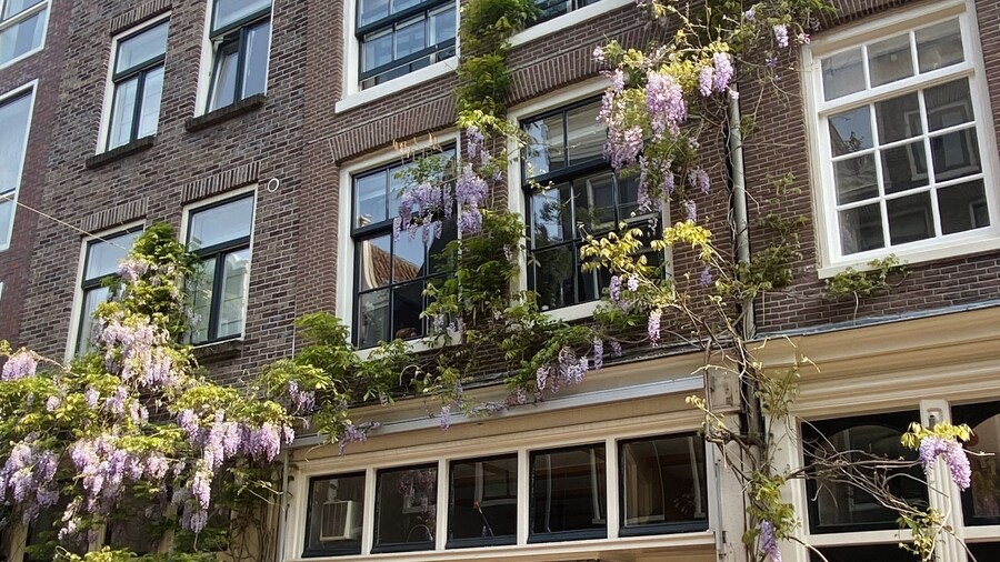 Amsterdam B&B Barangay