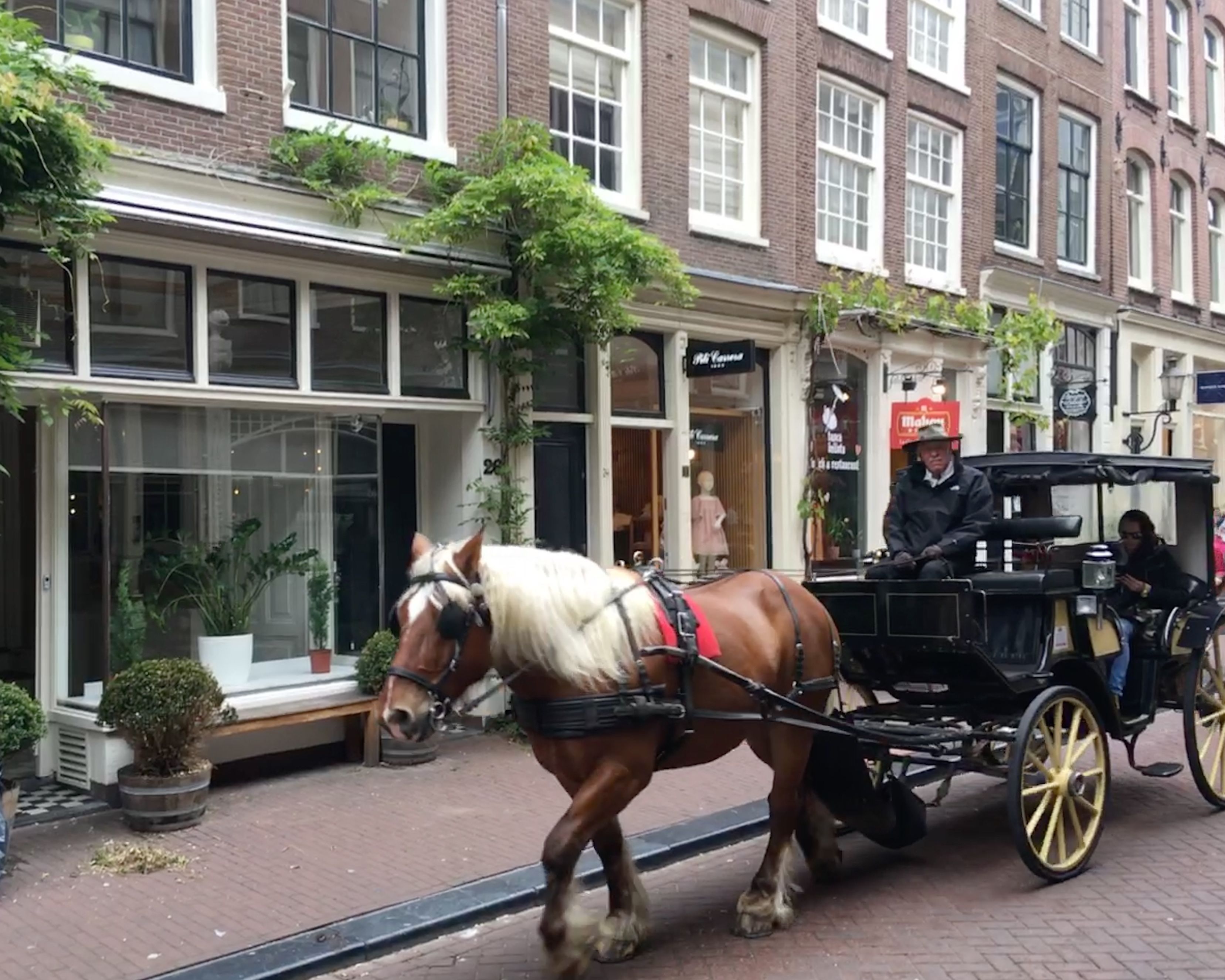 Foto - Amsterdam Barangay