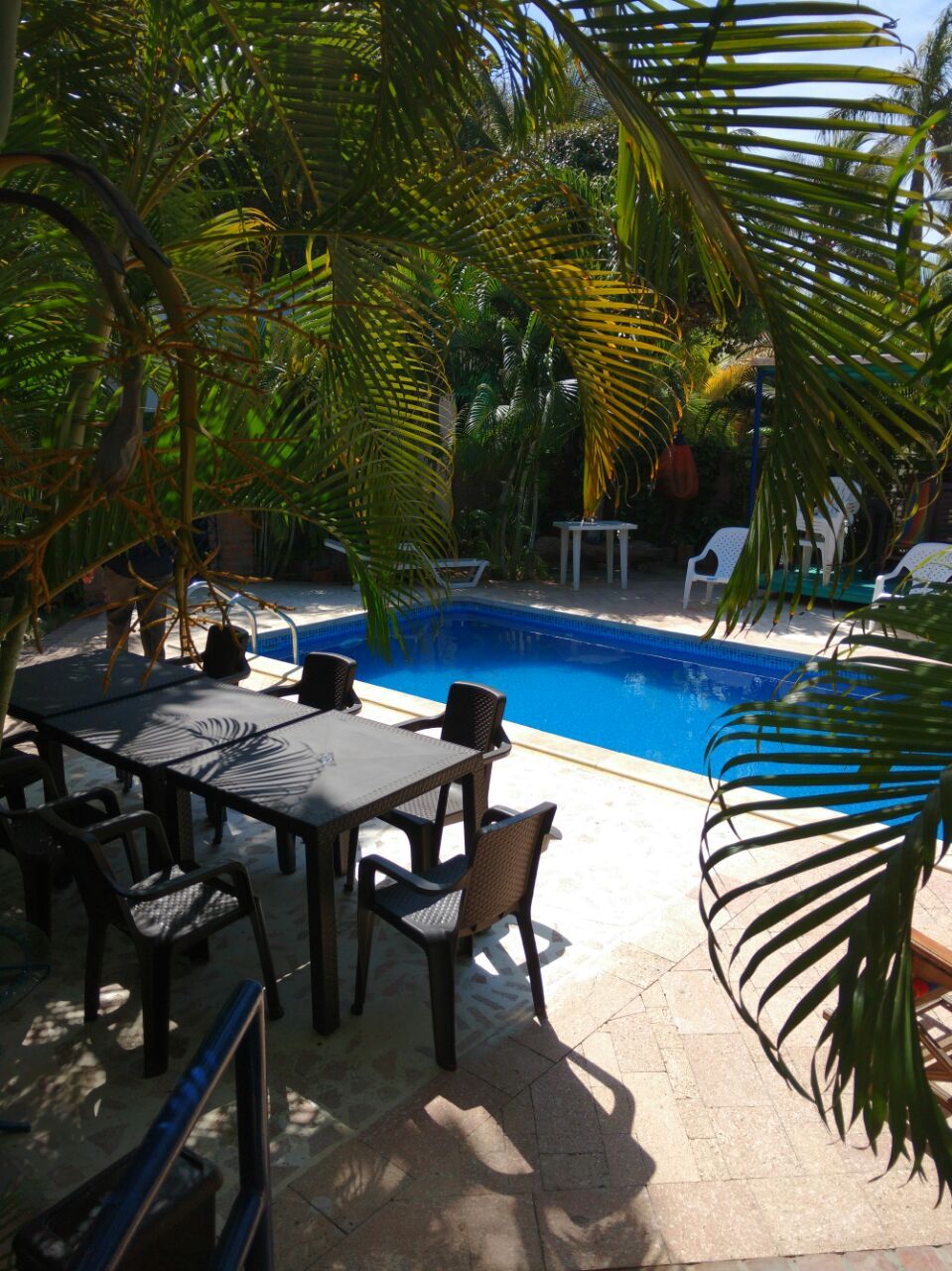 Un espace piscine avec une table et des chaises, entouré de palmiers.
