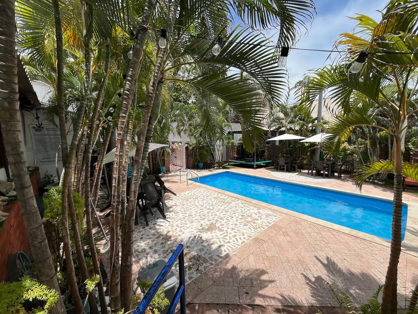 A swimming pool surrounded by palm trees and outdoor furniture.
