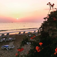 Una playa cerca, bar en la playa