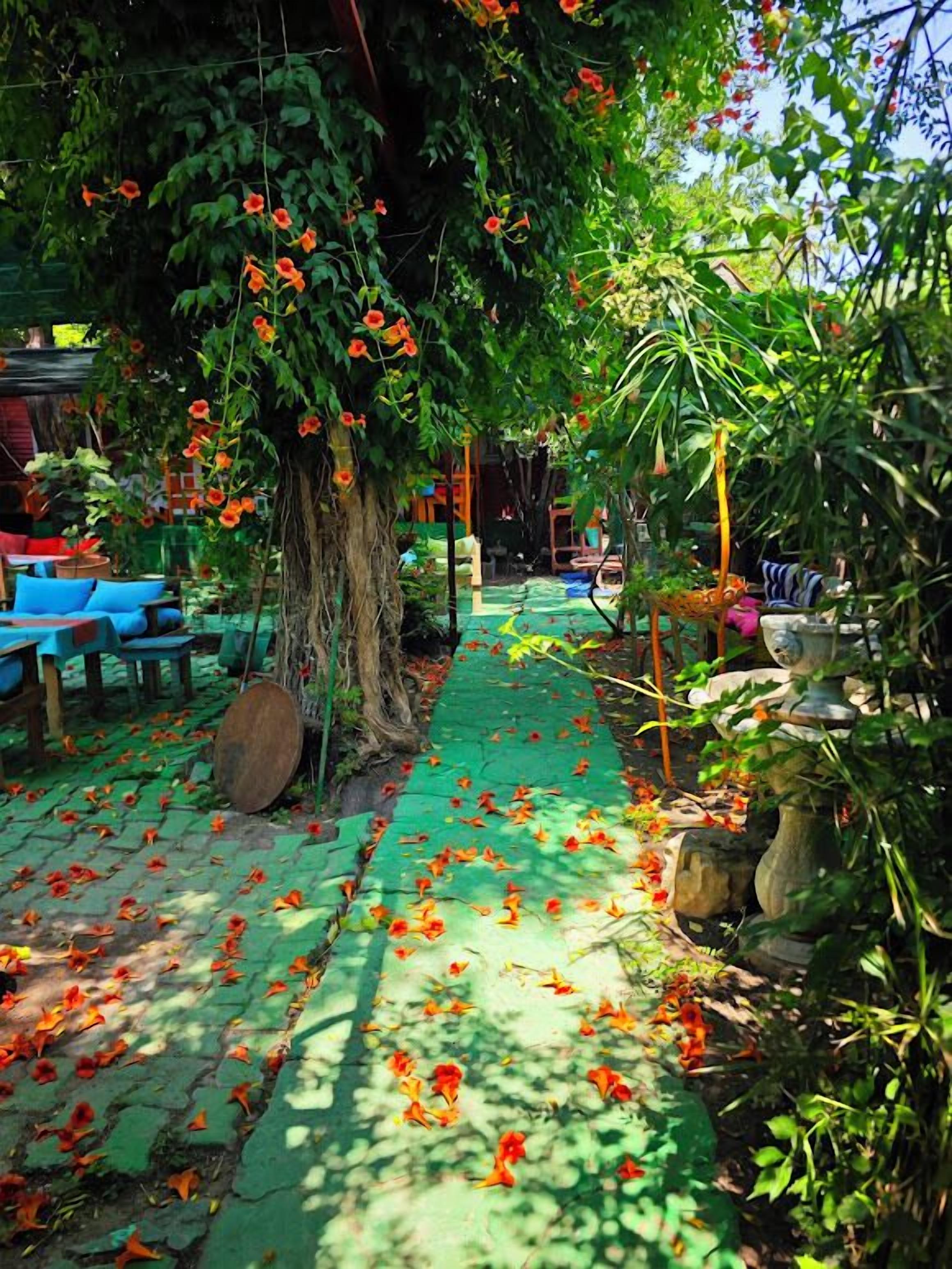 A garden pathway with a green mat, surrounded by lush greenery and orange flowers.