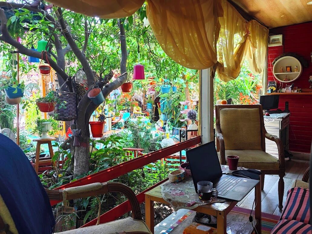 Una habitación con una computadora portátil sobre una mesa, una silla y vistas a un jardín exuberante con diversas plantas y un árbol.