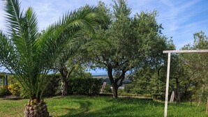 A grassy outdoor area with a palm tree, a wooden post, and a metal fence. - Bed & Breakfast Villa Flora (Agropoli)