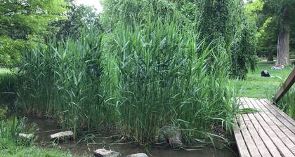 Euro Apartments Lidická 39 Brno