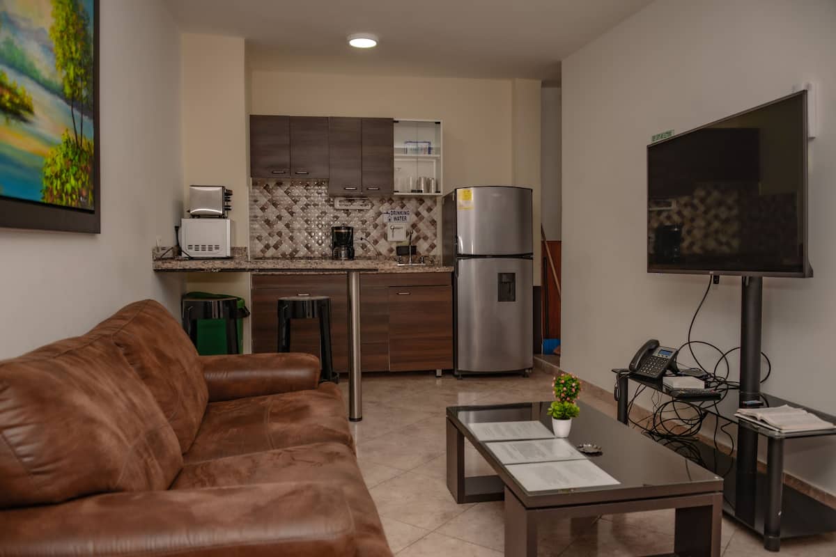 A modern living room with a brown leather sofa, a coffee table with a plant, and a kitchen area with a refrigerator, coffee maker, and a TV mounted on the wall.