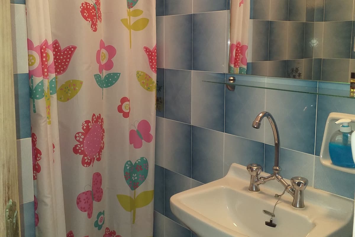 Chambre avec lits jumeaux (Ground Floor, Street View) | Salle de bain
