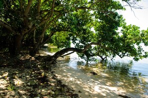 On the beach - Seas the Day Sanctuary Little Bay (Negril)