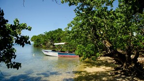 A boat docked near a tree-lined shore with clear water. - Seas the Day Sanctuary Little Bay (Negril)