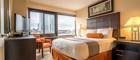 高级公寓式客房, 1 张大床 | 客房景观