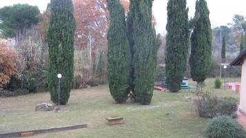 Jardin
