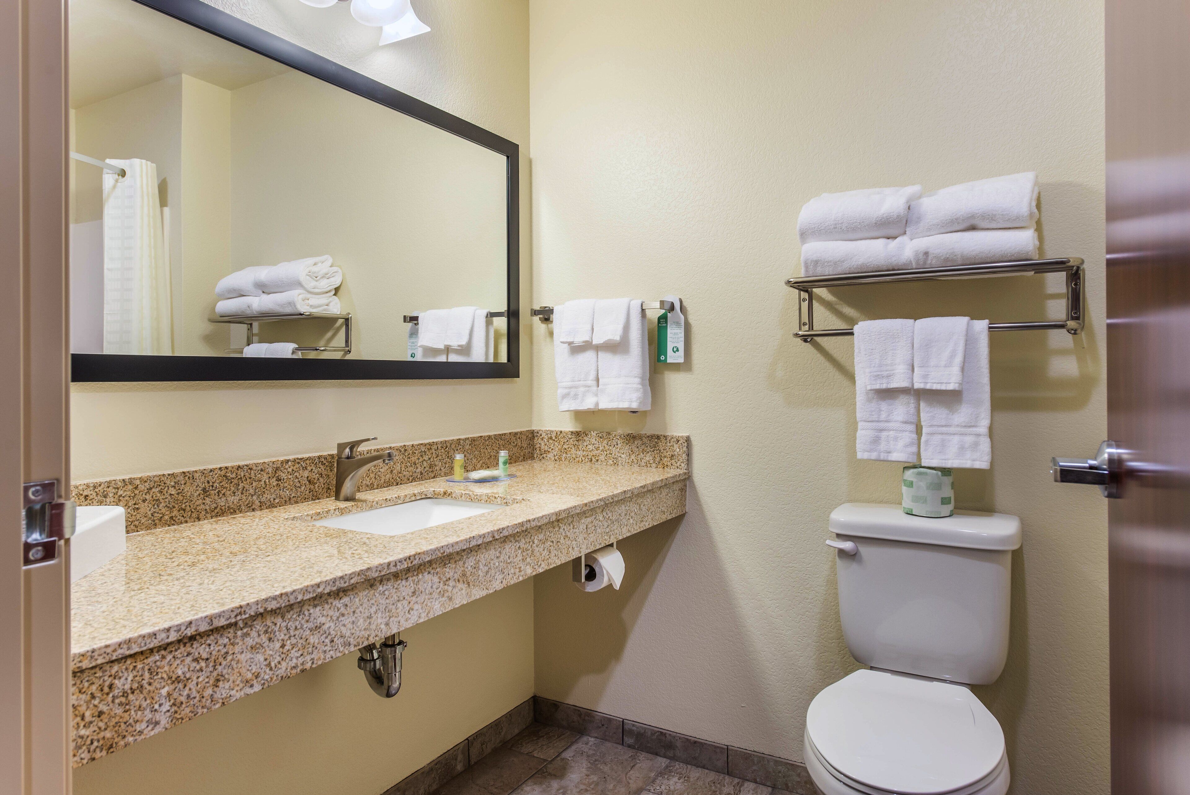 combined shower/bathtub, free toiletries, hair dryer, towels