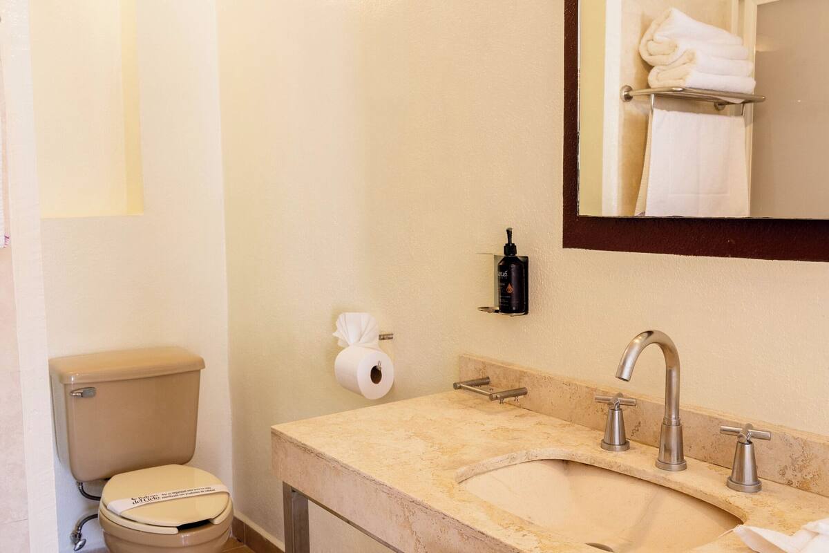 basic room, 1 double bed, non smoking | bathroom | rainfall showerhead, free toiletries, hair dryer, towels