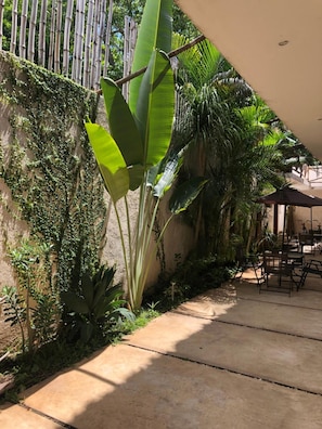 A patio area with outdoor seating, surrounded by lush greenery and a bamboo fence. - Hotel Casa Bamboo (Valladolid)