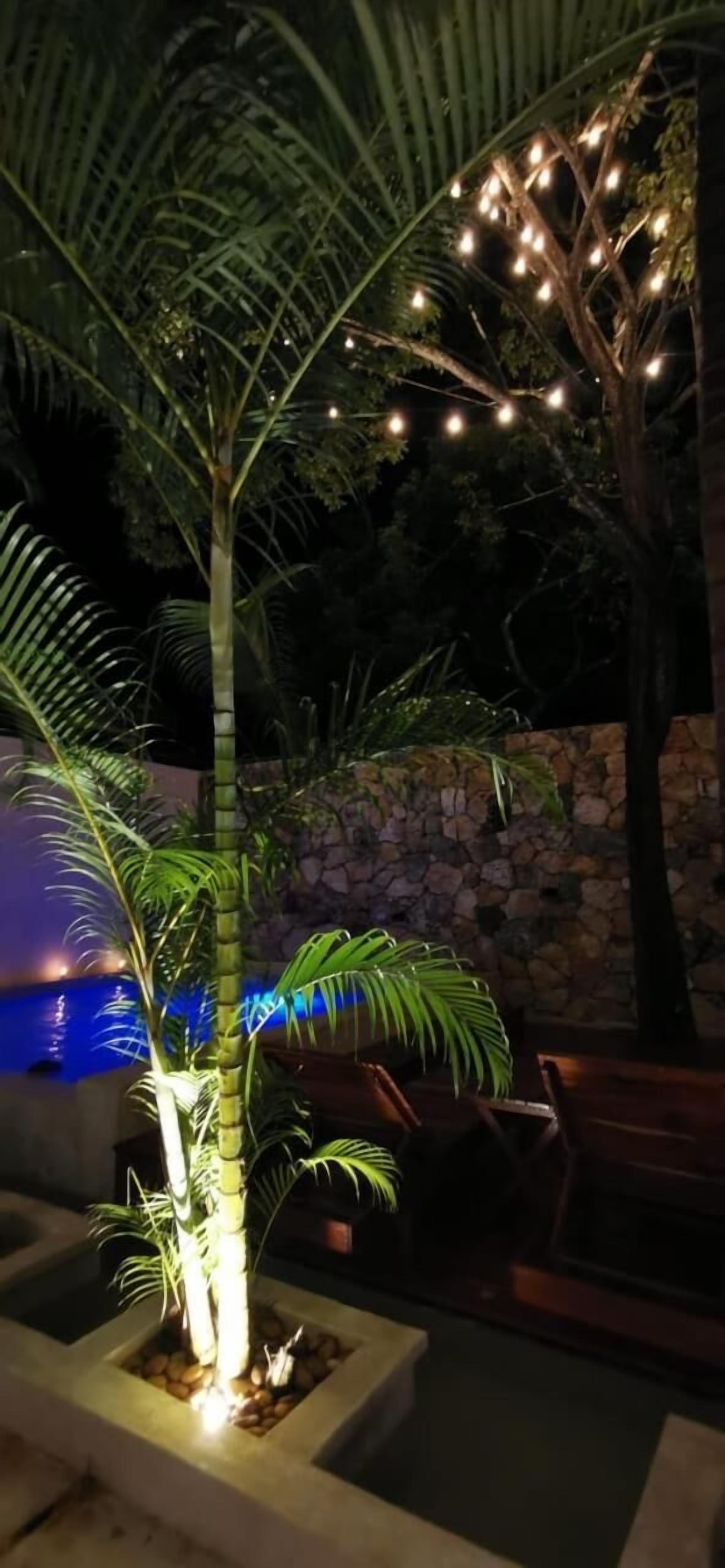 Foto - Hotel Casa Bamboo