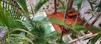 Hotel Casa Bamboo
