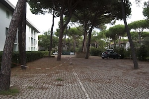 Free self parking