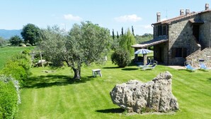 A stone house with a sloped roof, surrounded by a well-maintained lawn and olive trees. - Agriturismo Le Sorgenti (Pitigliano)