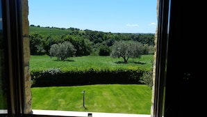 A view from a window overlooking a green field with trees and a hedge. - Agriturismo Le Sorgenti (Pitigliano)