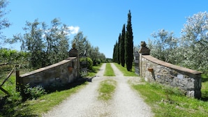 A gravel path leading to a stone gate with a plaque, flanked by olive trees and cypress trees. - Agriturismo Le Sorgenti (Pitigliano)