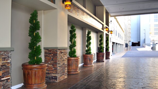 A corridor with potted Christmas trees and a stone-tiled floor. - Jockey Club Suites (Las Vegas)