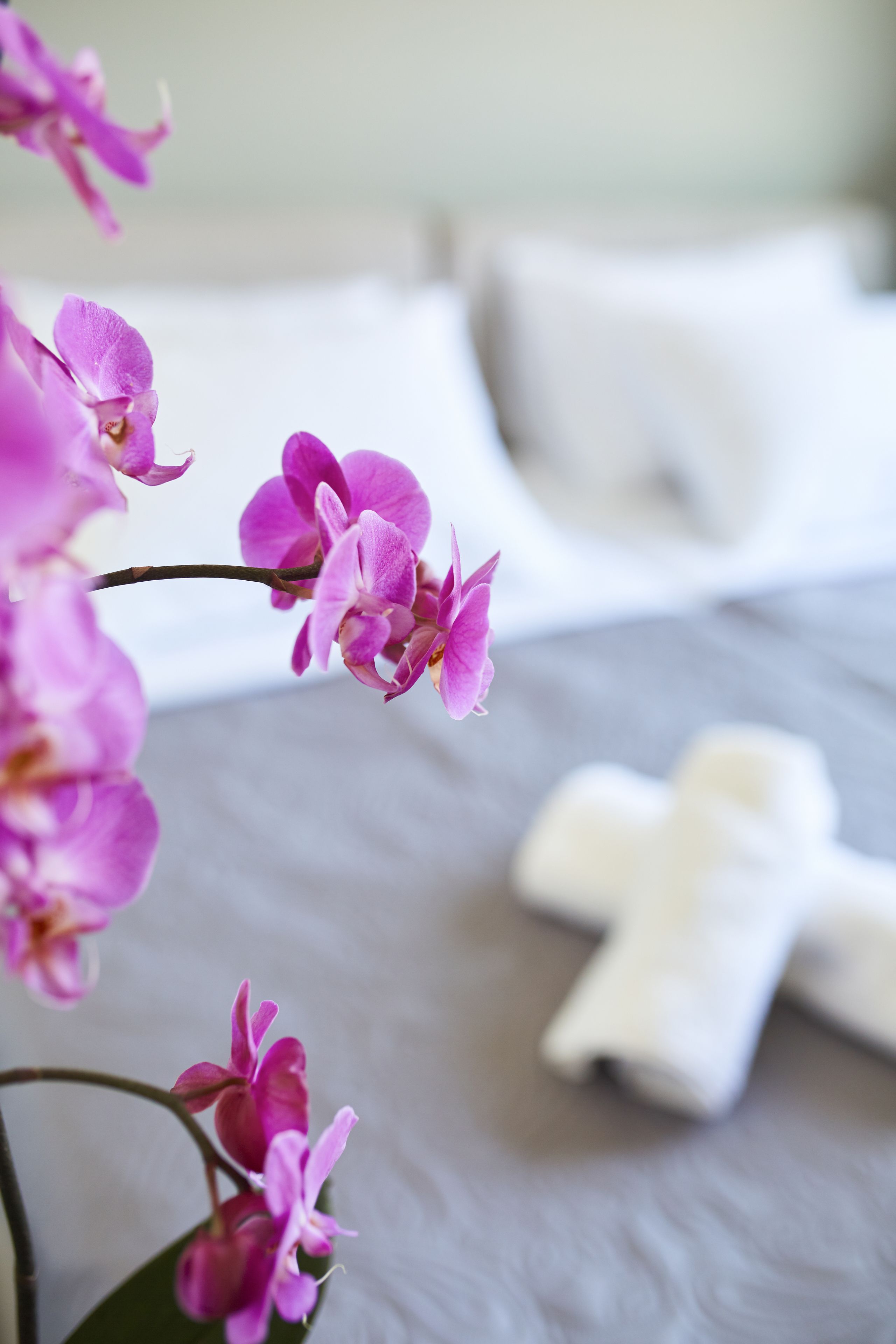 Photo - The Athens Version Luxury Suites