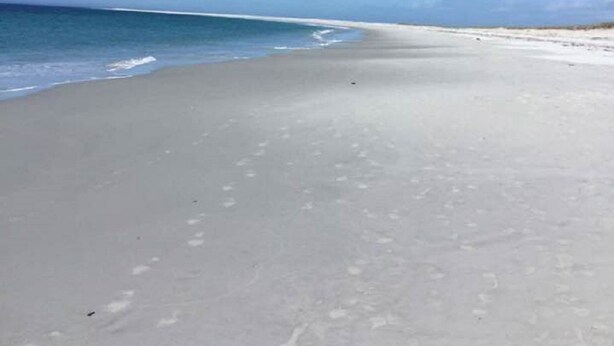 Una playa extensa y arenosa con olas suaves y un cielo azul despejado.