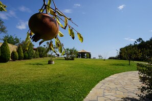 Una granada cuelga de un árbol en un jardín cuidado con un sendero de piedra, césped perfectamente recortado y un pabellón al fondo.