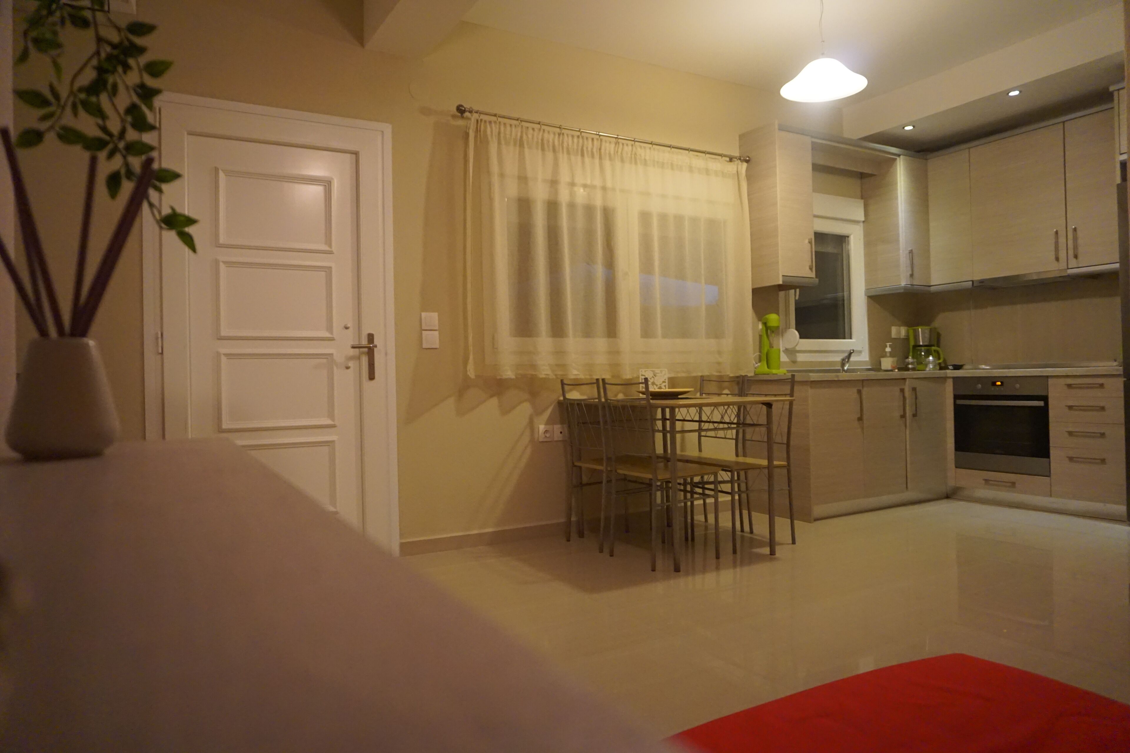 A modern kitchen with a dining area, a white door, and a plant.