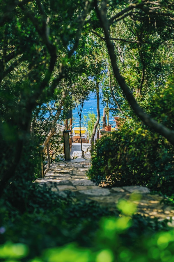 Un sentier de pierres serpente à travers un jardin luxuriant, agrémenté de plantes en pot, et offre une vue sur la mer.