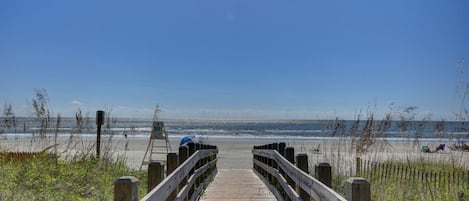 Nära stranden