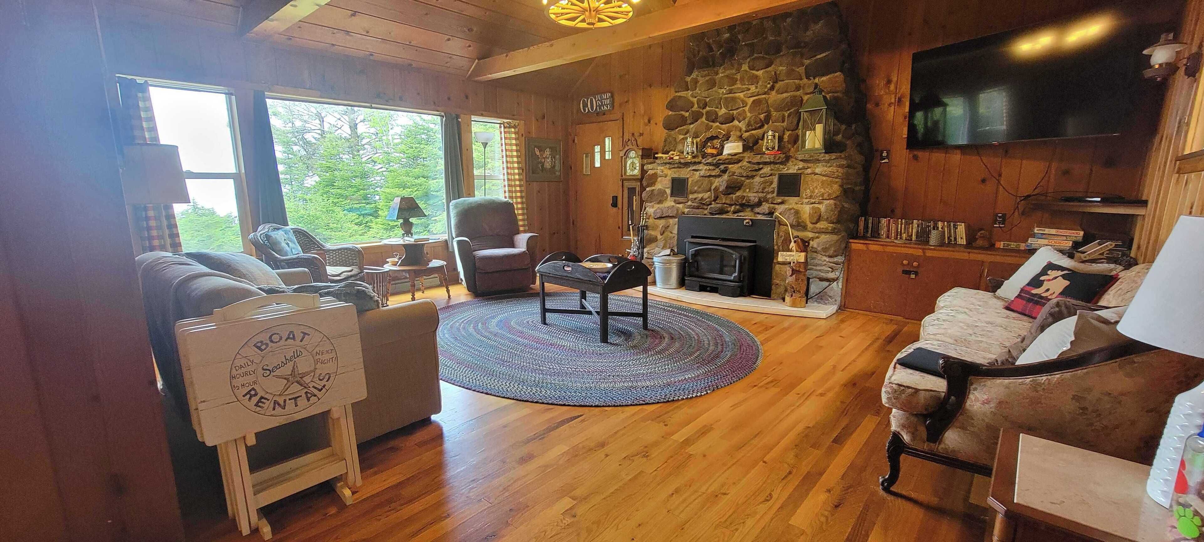 电视、壁炉、DVD 播放器