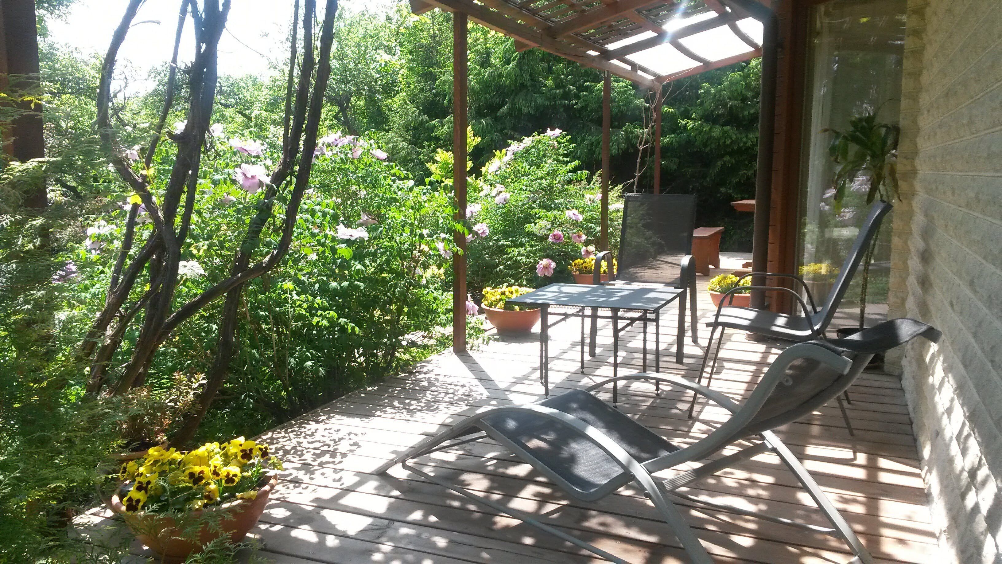 Terraço/pátio