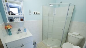 Un baño con cabina de ducha de vidrio, un lavabo blanco, un espejo y un inodoro.