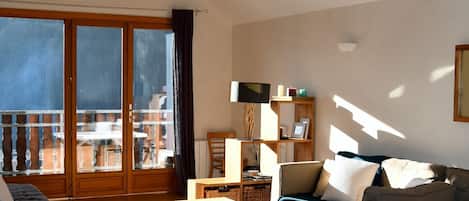 Televisión, chimenea y reproductor de DVD