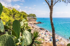 Plage à proximité