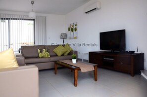 TV, fireplace, DVD player