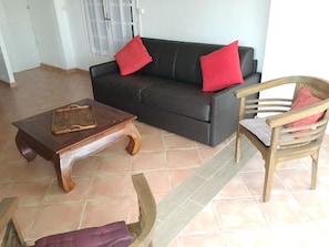 TV connectée, cheminée, lecteur de DVD, livres
