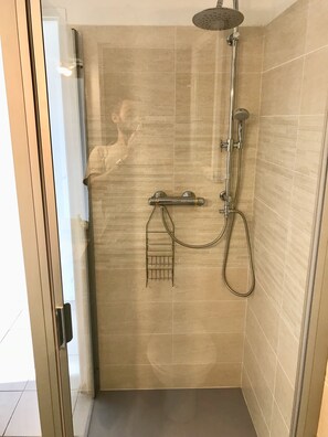 Shower, hair dryer, toilet paper