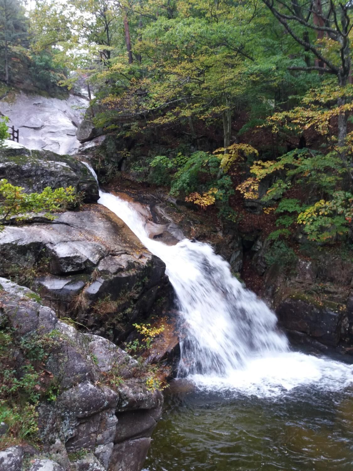 A waterfall cascading over rocky terrain surrounded by dense foliage.