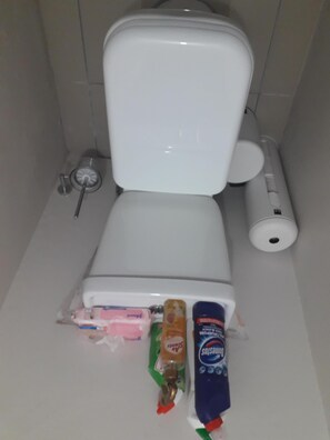 Baignoire, baignoire à remous, séchoir à cheveux, serviettes fournies