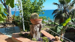 Een tuin met een cactus, bloemen en uitzicht op zee.