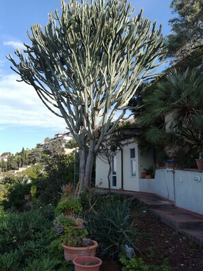 Property grounds - Cottage in front of the beach, with large garden and parking (Altavilla Milicia)