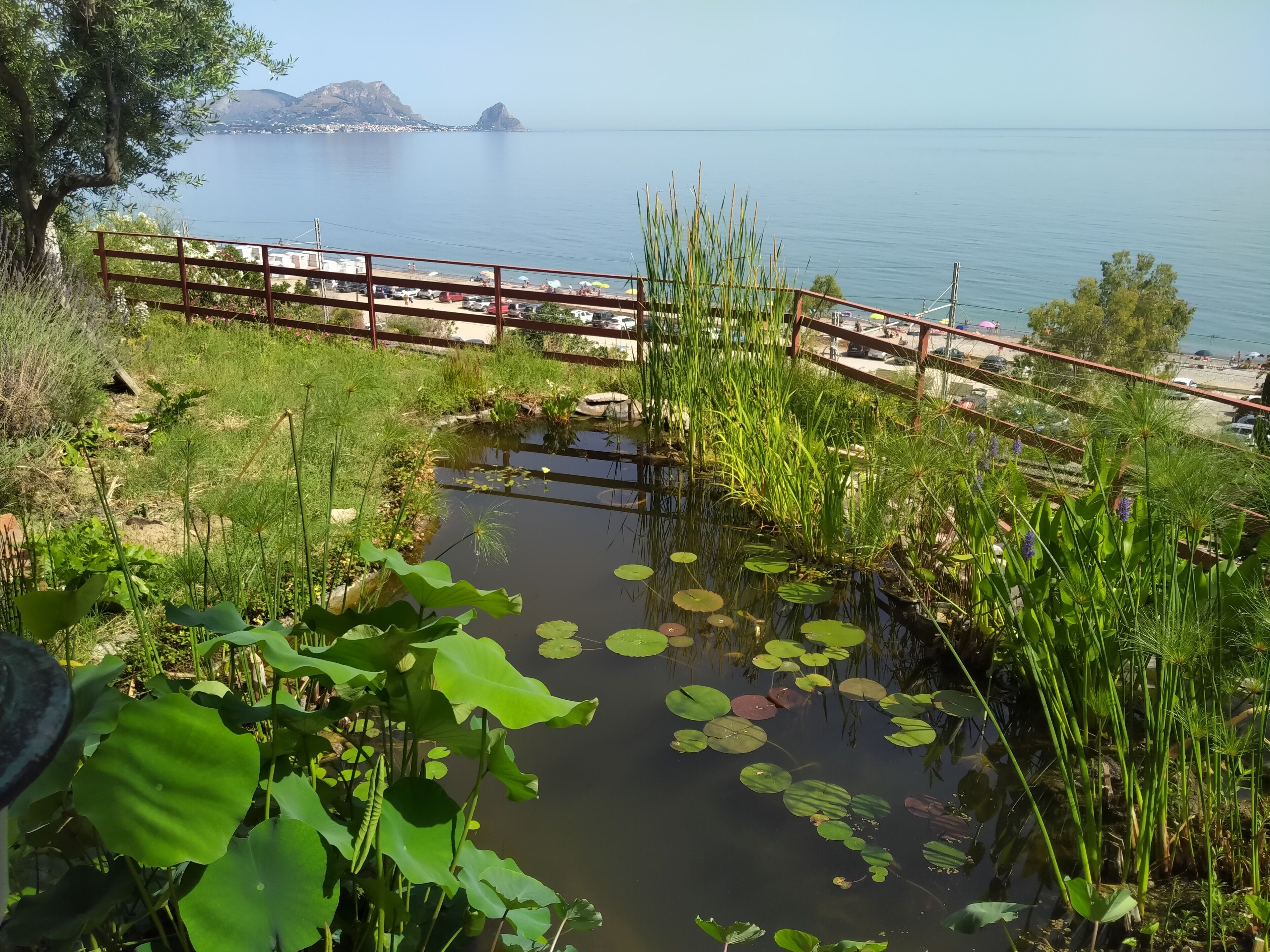 Parco della struttura